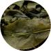 GOARTEA Taiwan Oolong Tea Loose Leaf 100g / 3.5oz Supreme Dong Ding Oolong Tea - Tung Ting Dongding Oolong Tea Green Oolong Tea - Buy Online on GoSupps.com