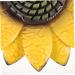 Alipis Mount Ornament Metal Sign Artistic Decoration Welcome Sunflower Flower Pendant D Door Art Hanging - Buy Online on GoSupps.com