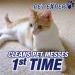 Resolve Pet Carpet Stain Remover 96 fl oz - 6 x 16 oz Bottles - Carpet Cleaner - Buy Online on GoSupps.com