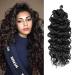 Romance Hawaii Curl 6Pcs 20 inch Ocean Wave Crochet Braid Hair Extension Synthetic Crochet Braid Hair Deep Wave Crochet Hair (20 " 1b) 20" 1b