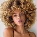 Buy Colourfulpanda Kinky Curly Afro Wig - Brown Blond Brazilian Synthetic Hair for Women | Short Ponytail Wigs for Black Women - Buy Online on GoSupps.com