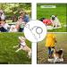 Intestinal Piral Peg with Dog Leash - 15 Inch Stakes for Small to Medium Dogs | 3M Tie-Out Linen & Stainless Steel Floor Anchor for Courtyard & Camping - Buy Online on GoSupps.com