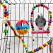 Hamiledyi 15PCS Bird Parrot Swing Chewing Toy Set - Colorful Wooden Hanging Bell with Hammock, Climbing Ladders - Ideal for Small Parakeet, Cockatiel, Conures, Finches, Budgie, Macaws, Love Birds - Buy Online on GoSupps.com