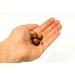 Turcolia Unshelled Hazelnuts 0.55lb | Whole Raw In Shell Nuts | Natural & Unsalted | Easy to Crack | Pack of 1 - Buy Online on GoSupps.com