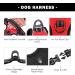 PHOEPET Reflective Large Breed Dog Harness with Handle | No Pull Vest for Easy On/Off | 2 Metal Rings, 3 Buckles | Medium Red - Buy Online on GoSupps.com