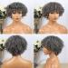 Grey Kinky Curly Bob Human Hair Wig - Old Lady Style | 180% Density - Buy Online on GoSupps.com