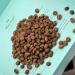 100% Caf Geisha du Panama - En grains - Torr faction moyenne (Coffret avec 100g) 100% Caf Geisha du Panama 100 g (Lot de 1) - Buy Online on GoSupps.com