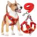 Rennaio dog harness no pull adjustable puppy dishes with 2 linen clips ultra comfortable chest harness and leash set for small and medium-sized dogs (red XL) red XL