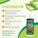 Aloe Life Whole Leaf Aloe Vera Juice Concentrate 32 oz | Organic Cherry Berry Flavor | Supports Digestion & Energy | Antioxidant Rich | Gluten-Free - Buy Online on GoSupps.com
