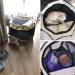BODISEINT Portable Pet Playpen - Foldable Exercise Pen for Dogs, Cats, and Small Pets - Indoor/Outdoor Kennel for Travel and Camping - Medium Coffee/Beige - Buy Online on GoSupps.com