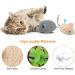Chef Vinny 9 Pcs Cat Mouse Toys Catnip Cat Toys Chew Toys for Cat Soft Plush Catnip Cat Toys Mice Toys with String Tails Interactive Play for Cat Puppy Kitty Kitten - Buy Online on GoSupps.com