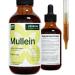 Mullein Leaf Liquid Extract - Natural Supplement Liquid Tincture - Lung Cleanse and Detox - Respiratory Health and Immune Support Drops (4 FL OZ) 4 Fl Oz (Pack of 1)