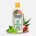 Caribbean Breeze Aloe Moisturizing Lotion Aloe Vera Lotion for Body Vitamin Enriched Aloe Lotion with Green Tea and Pomegranate 8.5 oz (250 ml)