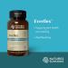 Nature's Sunshine EverFlex with Hyaluronic Acid 60 Tablets | Joint Support Formula | Lubricates Joints, Boosts Flexibility, Promotes Healthy Cartilage - Buy Online on GoSupps.com