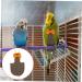 PopetPop 5-Pack Flying Bird Diapers - Parrot & Nymphensittich Flight Suits | Neoprene Bird Clothing for Pets | Best International Shipping - Buy Online on GoSupps.com