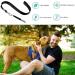 Professional Dog Whistle Set - Ultrasound Training Pipe for Bark Control & Recall | 2PCs Black & Red - Buy Online on GoSupps.com