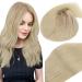 Vivien Extensions Tressen Real Hair Remy Extensions Real Hair Tress Ombre Ashblond to Middle Blond with Platin Blond Tress Real Hair Extensions 40cm 100g #18/26 Zo11 2-1 Tressen #18/25/60