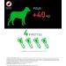 FRONTLINE Combo Dog - Anti Flea Anti-Tick - Protects Habitat1 Eliminates Fleas for 8 Weeks/Ticks for 4 Weeks - For Dogs +40 kg - Made in France - 4 Pipettes - Buy Online on GoSupps.com