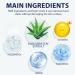 100 ml Aloe Vera Hand Cream - Gentle Hand Cream For Very Dry Hands Hand Moisturiser With Natural Aloe & Vitamin E Hands Gel For Sensitive Skin Aloe Vera Gel For Skin Care Hand Cream For Women - Buy Online on GoSupps.com