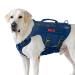 Oneigris no-pull dog harness Aire mesh adjustable safety harness Ultra breathable for large/medium dog breast harness Dog hardness with 2 handles dog vest blue XL (neck: 51-74cm breast: 79-102cm)