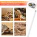 Buy Lucky Herp UVB Lamp T8 Reptile Lamp 14W 10.0 for Terrarium - Ideal for Turtles Snakes Lizards & Amphibians - Buy Online on GoSupps.com