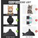 Shop Adjustable Airtag Cat Neck Band with Bell | Reflective Kitten Collar Holder | Safety Buckle for Cats | 17.8-30.5 cm - Violet - Buy Online on GoSupps.com