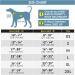 ThinkPet Reflective Dog Life Jacket - Adjustable & Floating Lifesaver Vest - Buy Online on GoSupps.com