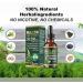 Gouttes d'extrait de feuille de mol ne bio nettoyantes pour poumons extrait de mol ne pour poumons formule naturelle nettoyage et soutien respiratoire convient pour homme et femme (1 pi ce) 1 Pi ce. - Buy Online on GoSupps.com