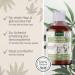 AniForte Cold-Pressed Organic Hemp Oil for Dogs & Cats 500ml - 100% Pure BARF Oil Premium Natural Product Additive-Free Eco-Friendly Packaging - Buy Online on GoSupps.com