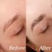 2 in 1 Eyebrow Soap Wax Pen & Gel for Waterproof Brow Styling | Clear 3D Brow Freeze Shaping Gel with Brush - Buy Online on GoSupps.com