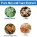 yi an hang Mugwort Moxibustion Moxa Belly Patch 30 pcs - Buy Online on GoSupps.com