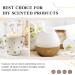 EUQEE Banana Fragrance Oil 60ml - Premium Aromatherapy Essential Oil for Diffusers & Candle Making - Buy Online on GoSupps.com