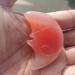 Specimen Natural Agate Geode Moon Shaped Crystal Cluster Half Moon Agate Geode Carved Crystal Stones Reiki Natural Stones and MineralsStone Household (Size : 2pcs) - Buy Online on GoSupps.com