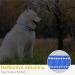 Heele Reflective Dog Collar - Soft Neoprene Padded Nylon Pet Collar for Small Medium & Large Dogs - Royal Blue (40-66 cm) - Buy Online on GoSupps.com
