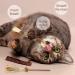 Buy Tao Pipe Catnip Sticks - 6 Interactive Matatabi Chewing Toys for Dental Care & Fresh Breath - Safe Silver Vine Sticks for Cats - Buy Online on GoSupps.com