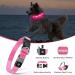 Masbrill LED Dog Collar - Waterproof Adjustable Luminous Safety Collar with 3 Flashing Lights for Small Medium & Large Dogs - Pink (28-40cm) - Buy Online on GoSupps.com