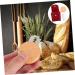 Bestonzon 2 Sets Decorative Bread Tools - Pizzaschneider Brotlame & Folding Razor Plane Cutter - Stainless Steel for Pastry & Household Use - Buy Online on GoSupps.com