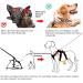 Buy Heele XL Brown Dog Harness - Breakout Buckle Reflective Robust Handle & Panic Clip | Comfortable Fit for Large Dogs - Buy Online on GoSupps.com