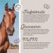 Annimally Joint Liquid for Horses 1000ml - Devil Claw Glucosamine & MSM for Joint Health - Liquid Supplement Alternative to Powder - Buy Online on GoSupps.com