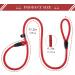 1Pc Nylon Dog Training Rope Slip Lead Dog Leash Durable Dog Traction Rope Durable Dog Traction Rope Suitable for Small Medium Dogs (Red) - Buy Online on GoSupps.com