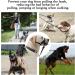No-Pull Dog Handle - Soft Upholstered Halter for Medium & Large Dogs | Durable XL Black Pad | Includes Training Instructions - Buy Online on GoSupps.com