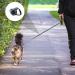 Outbreak-Proof Cat Dishes with 5m Leash Set | Automatic Retractable Cat & Dog Line - Buy Online on GoSupps.com