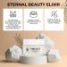Timeless Age Defying Cream - Firm Lift Brighten & Combat Wrinkles | All Natural 1oz - Buy Online on GoSupps.com
