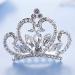 Yean Princess Crown Comb - Mini Crystal Rhinestone Silver Tiara Flower Hair Comb for Birthday Party and Girls - Buy Online on GoSupps.com