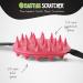 Travel-Sized Cactus Back Scratchers | Mini Back Scratchers with Aggressive & Soft Spikes - Perfect Post-Op Gift - Buy Online on GoSupps.com