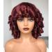 ANNIVIA-X Short Afro Curly Wigs with Bangs for Women Kinky Curly Hair Wig Big Bouncy Fluffy Curly Wig(Bug)