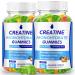 MaxHemp Creatine Monohydrate Gummies 5000mg Creatine for Women & Men 2 Packs Creatine Monohydrate Chew for Boost Focus Muscle Strength 5g Creatine Monohydrate per Serving Sugar Free Vegan
