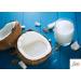 Jiva Organics Organic Coconut Milk 13.5oz (Pack of 12) - Premium Unsweetened, Full 18% Fat, Vegan, Paleo, No Guar Gum, BPA-Free, Keto Friendly - Buy Online on GoSupps.com