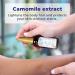 Camomila Intea Junior Hair Lightener for Kids - Bottle Spray with Natural Chamomile Extract - Paraben and Ammonia FREE 1.7 oz (50 ml) - Buy Online on GoSupps.com