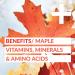 goodvibes juice co. Sick Day | Natural Wellness Shot | Echinacea Ginger Lemon Cayenne Maple | Immunity Anti-Inflammatory Decongestion & Antioxidants | Vegan Gluten Free | 50mL Pouch (Pack of 12) 50 ml (Pack of 12) - Buy Online on GoSupps.com